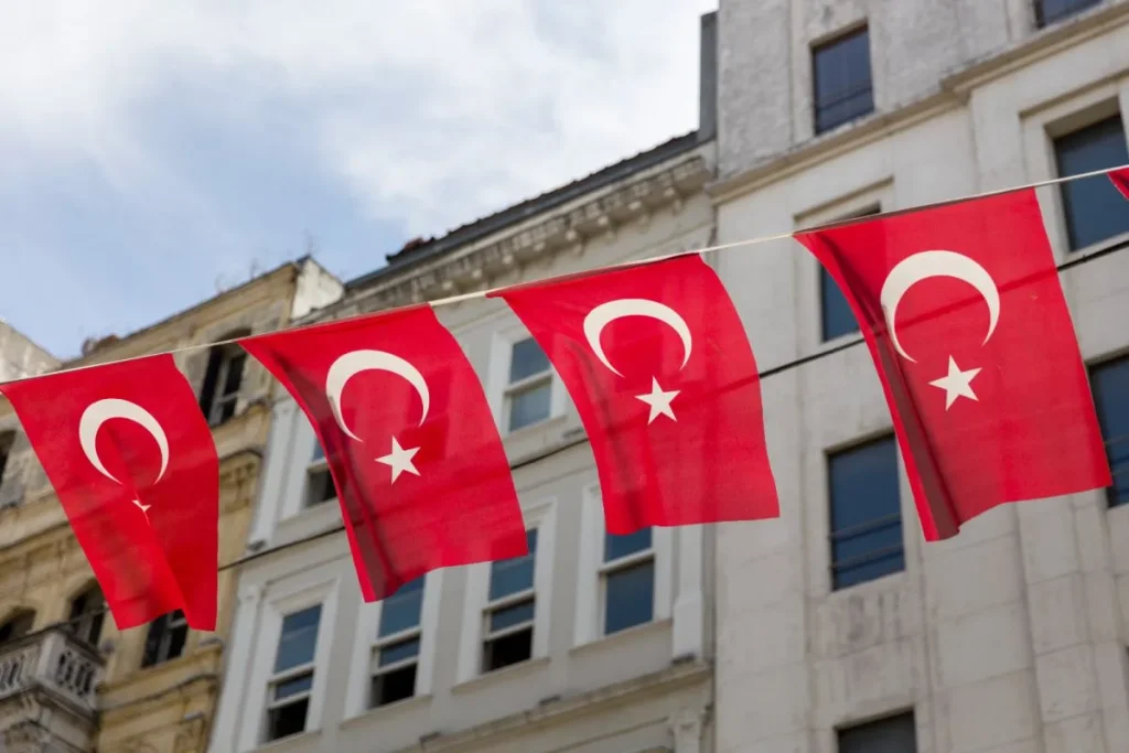 National patent applications in Turkey
