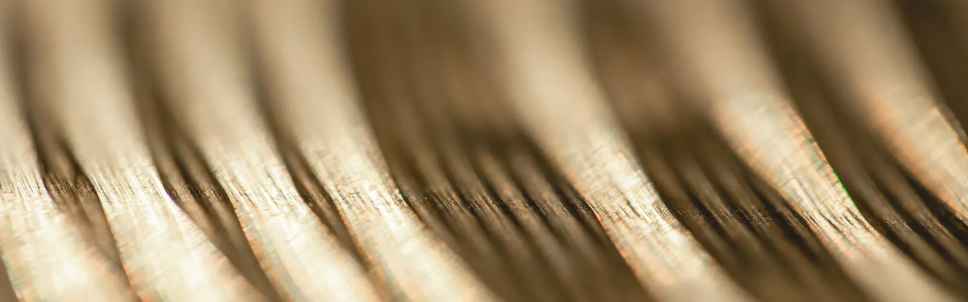 Turkish IP law publications